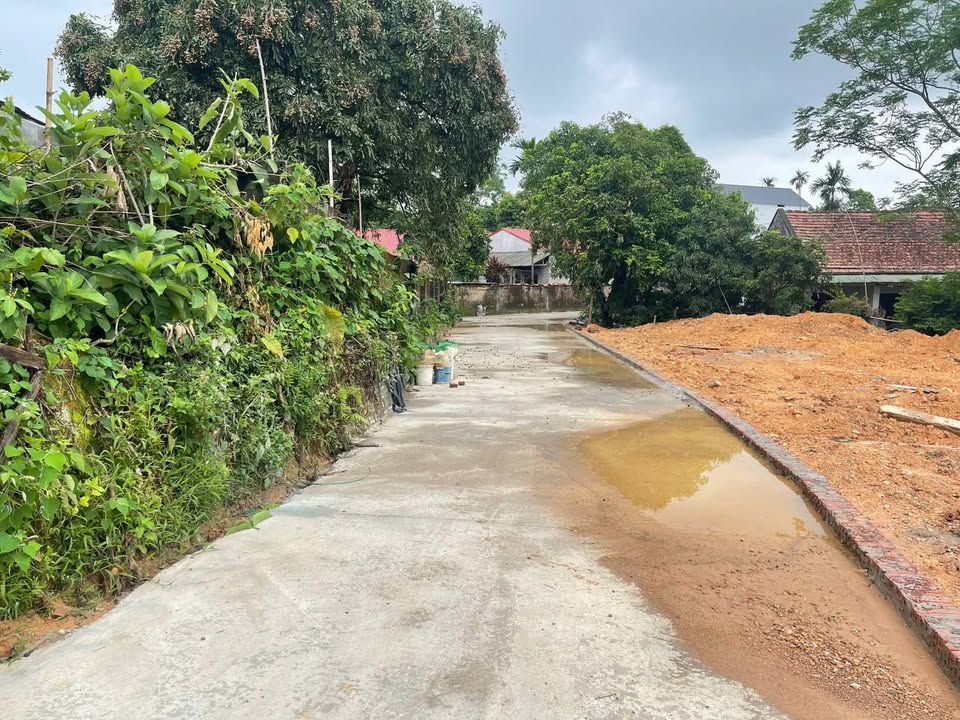 Siêu phẩm đất F0 đầu tư "cháy máy" tại Vật Yên, Vật Lại, Ba Vì cũ