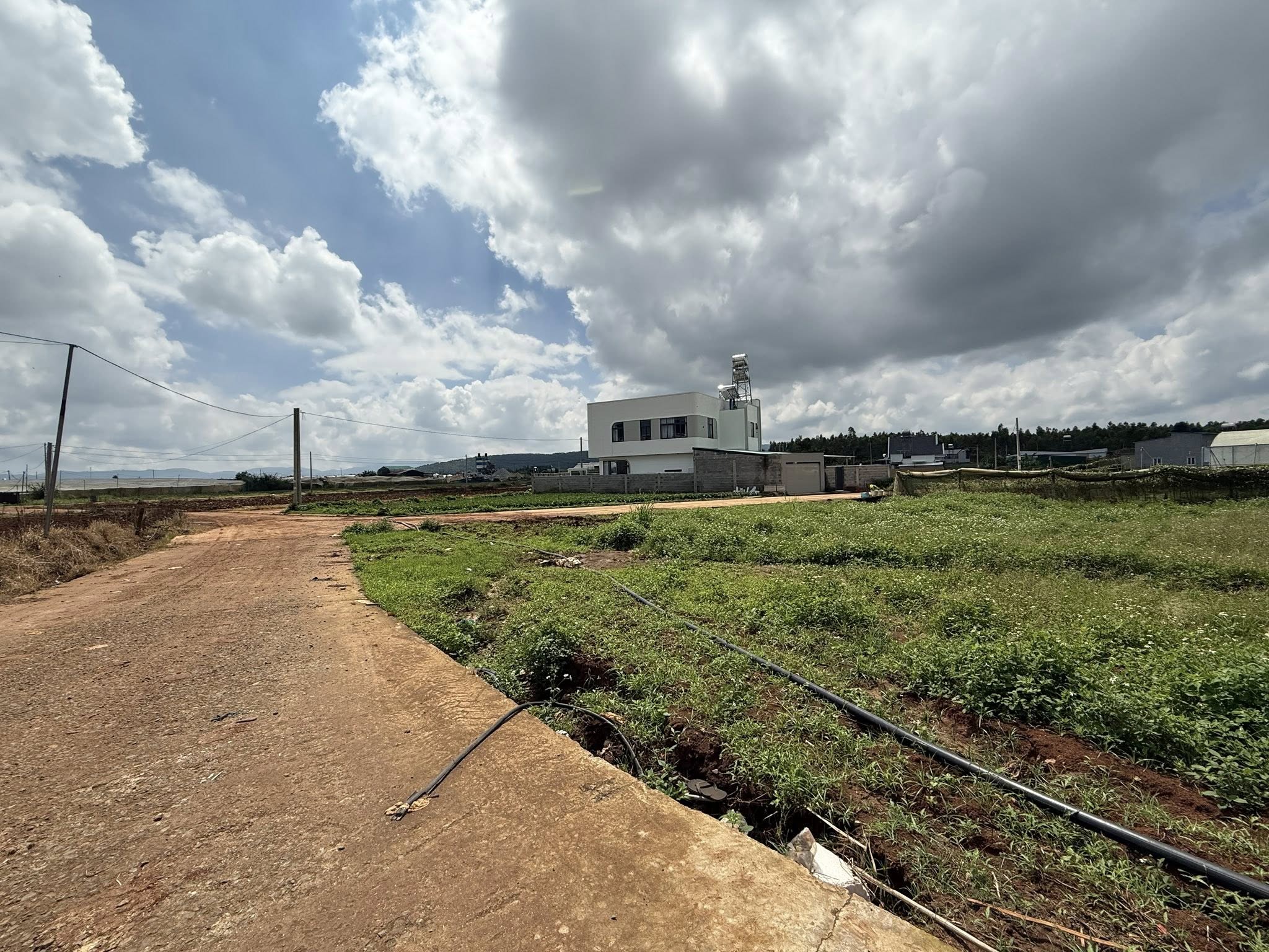 Đất Đơn Dương 163m2, 5m mặt tiền, view đồi Bạch Đàn mát rượi, sổ hồng riêng