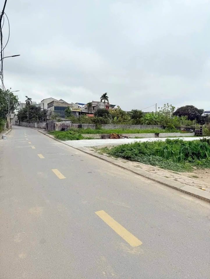 Đất Đệ Tứ giá yêu thương, ngõ ô tô bon bon