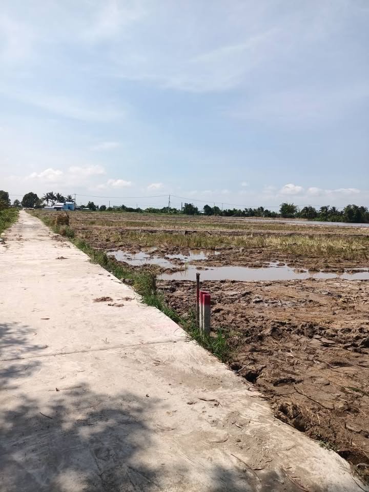 Đất Thạnh Lộc mặt tiền 25m, diện tích 2000m2, giá chỉ 750 triệu