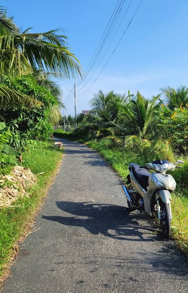 Bán đất lúa 1000m2 tại An Lục Long, Châu Thành, Long An, giá 900 triệu