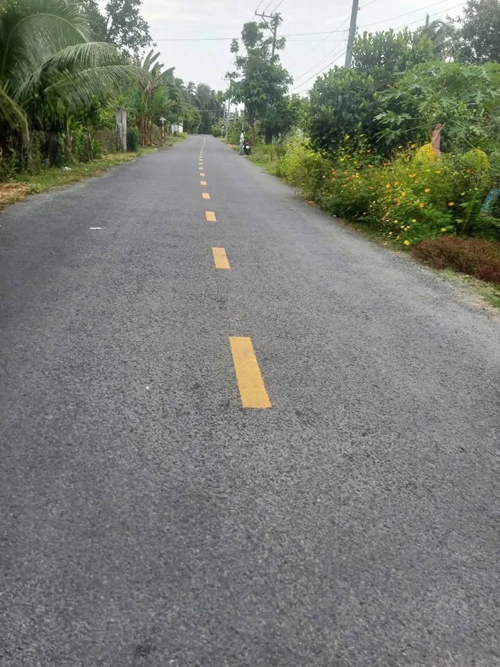 Siêu phẩm đất mặt tiền lộ nhựa tại xã Phú An Hòa, Châu Thành, Bến Tre đã chính thức lộ diện