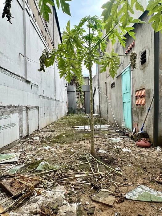 Bình Thạnh đất vàng nở hậu tài lộc, ngay Bệnh viện Đa khoa Gia Định, chỉ 4,25 tỷ