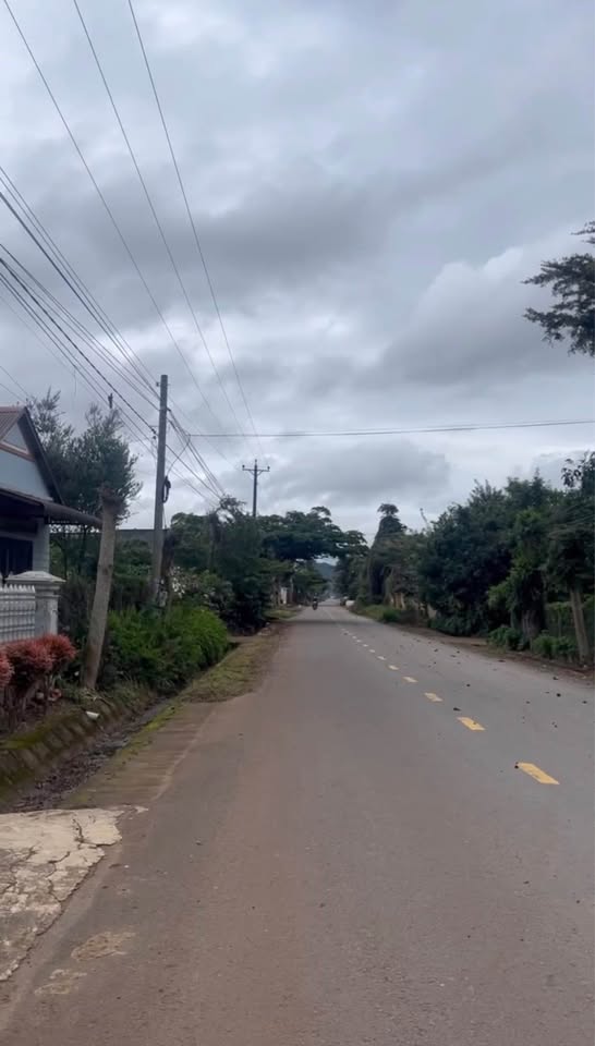 Đất Hiệp Thạnh, đầu tư sinh lời, gần sân bay Liên Khương