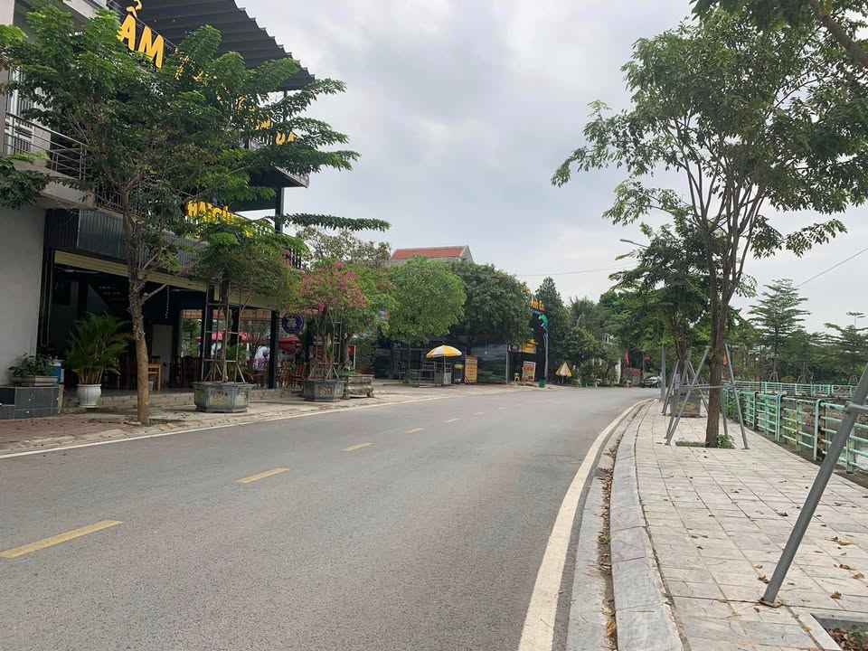 Bán đất đấu giá 100m2 view vườn hoa cạnh Hồ Bảo Sơn, Vĩnh Phúc, cơ hội đầu tư sinh lời