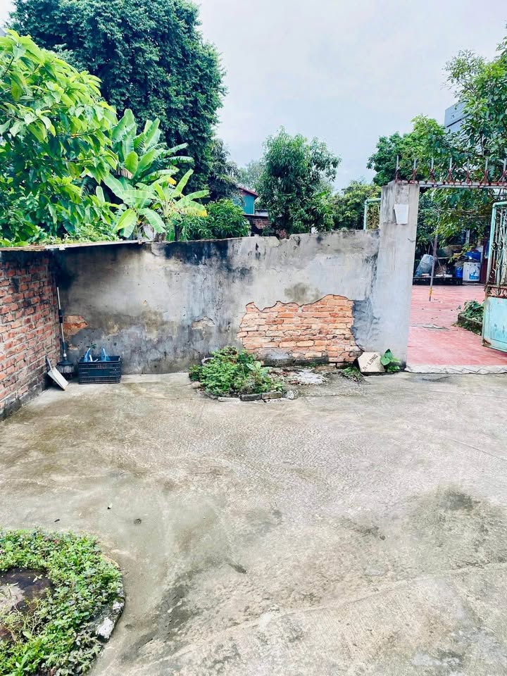 Đất nền Cộng Hòa, Mỹ Hào, Hưng Yên - Đường ô tô, tiềm năng sinh lời