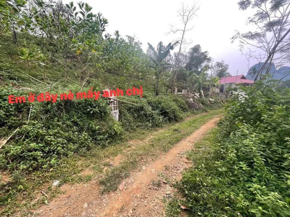 Cơ hội đầu tư hiếm có với lô đất rộng 4660m2, trong đó có 1500m2 đất thổ cư, tọa lạc tại Lạc Lương, Yên Thủy, Hòa Bình