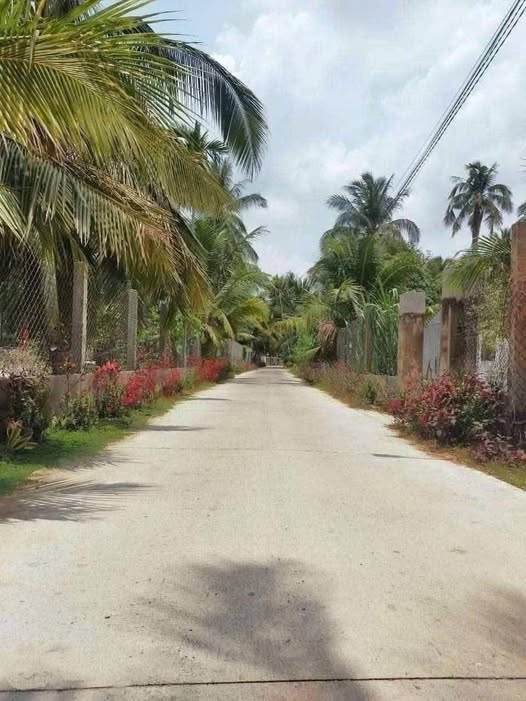 Đất nền Phú Nhuận, Bến Tre 180m2 mặt tiền lộ đan 3m, giá 850 triệu