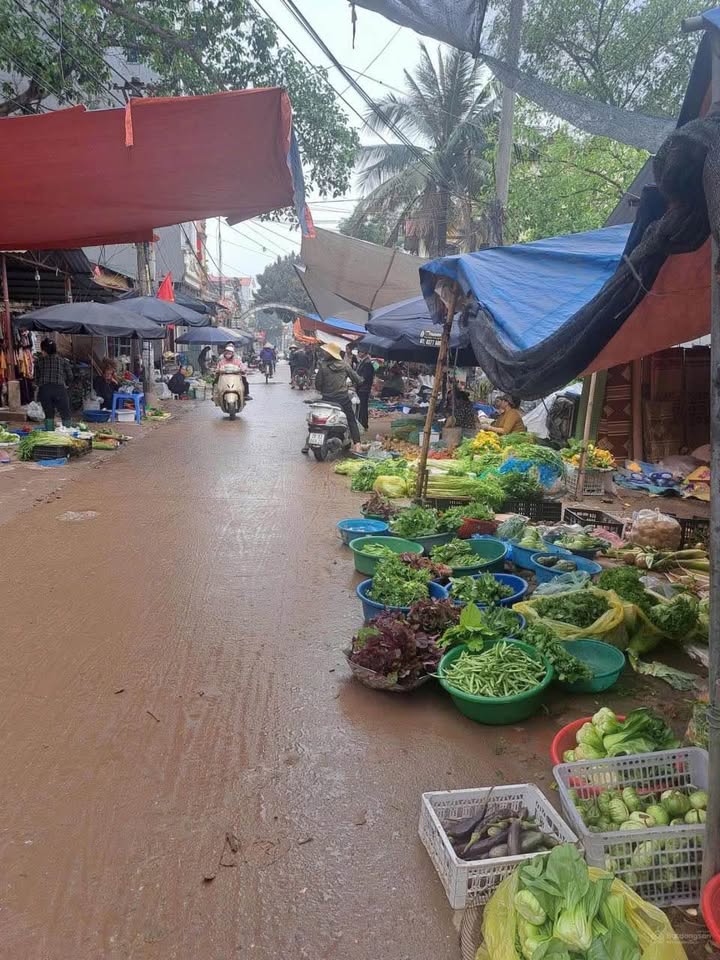 Đất vàng Thanh Niên, mặt tiền gần 7m, nở hậu, ô tô vào nhà