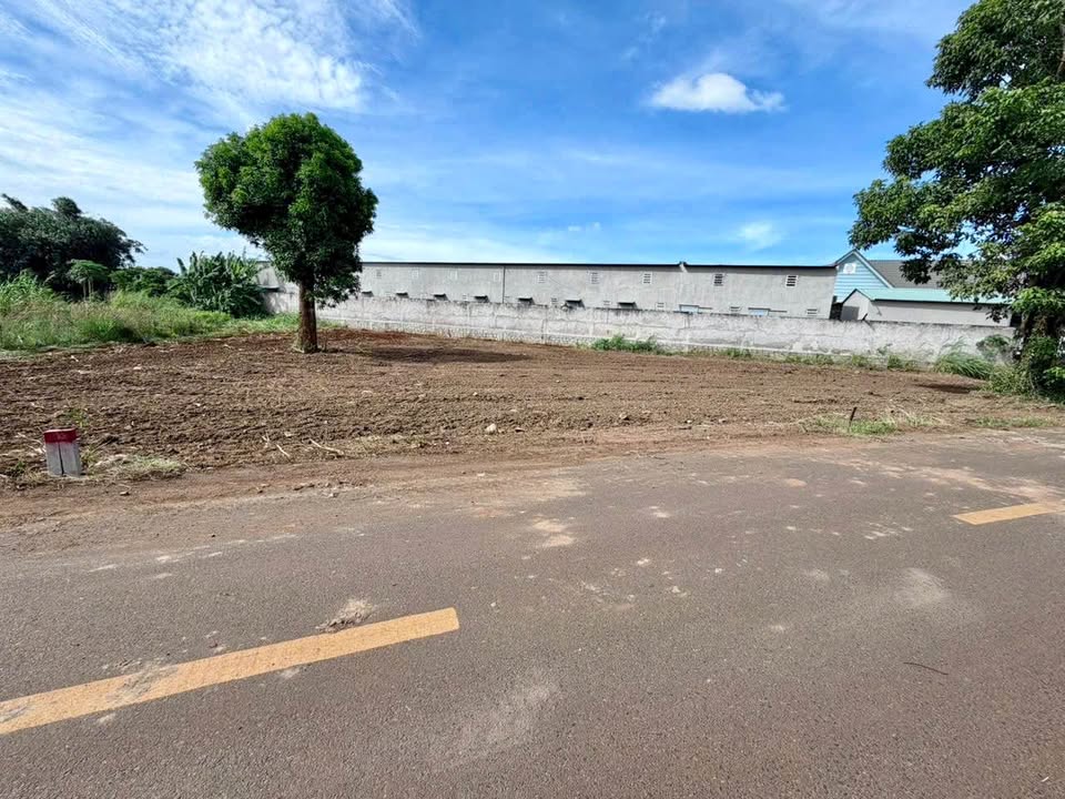 Bùng nổ Đất Đỏ 2 lô f0 mặt tiền Lê Thị Hồng Gấm, dân cư đông đúc