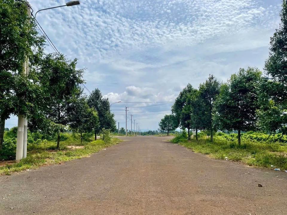 Đất khu đất đấu giá Cư Kuin nơi quy hoạch bài bản