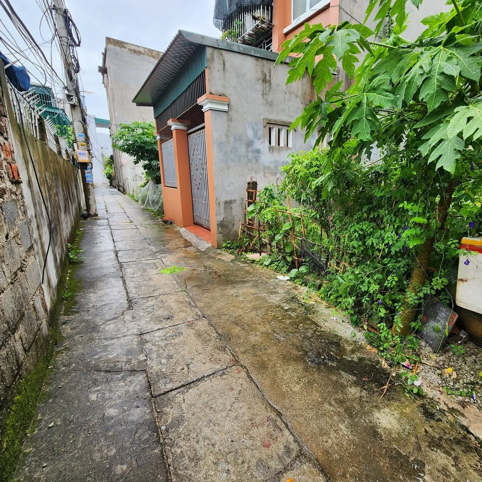 Vận may trao tay, cơ hội an cư lạc nghiệp tại lô đất Tân Minh