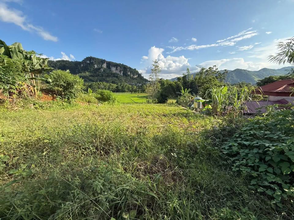 Đất vuông vắn 471.9m² mặt tiền 15m, đường 15m tại TDP Na Lun, Mộc Châu