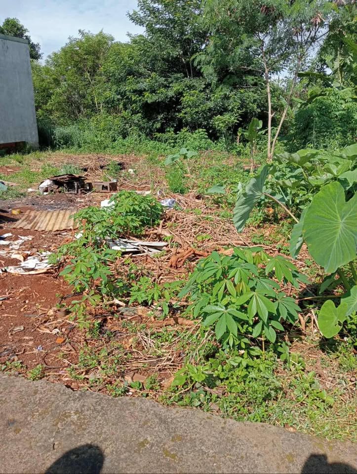 Đất nền hẻm Võ Thị Sáu, Buôn Ma Thuột giá hấp dẫn, tiềm năng sinh lời