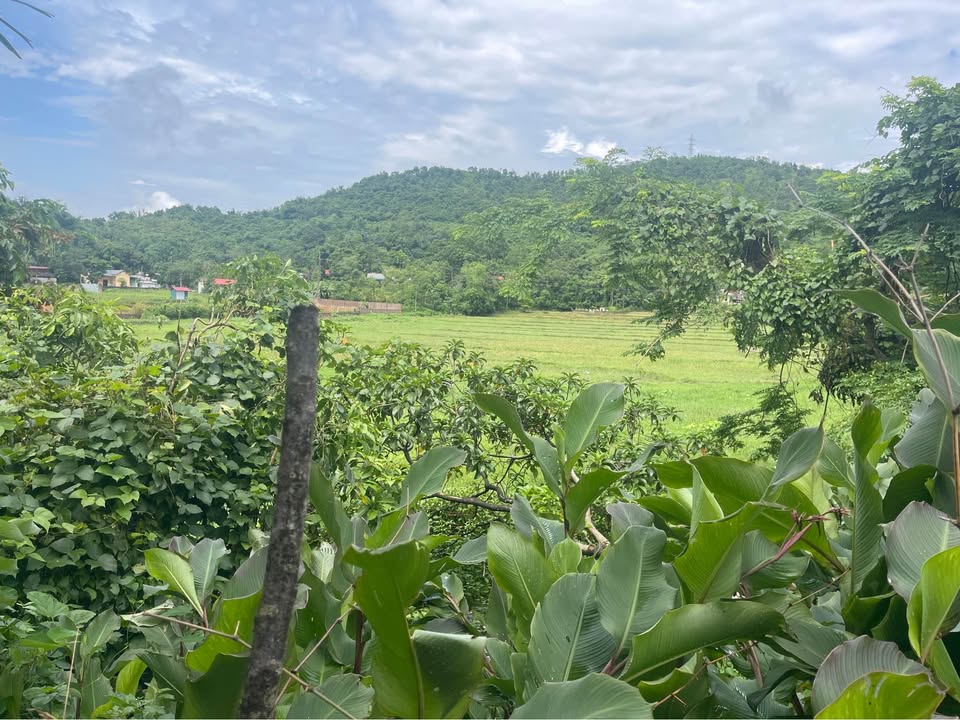 Bán lô đất siêu đẹp 1000m2 tại Thịnh Minh, Phú Thọ, ngay cạnh Ủy ban cũ