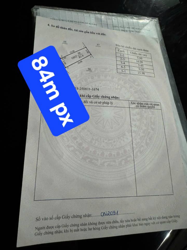 Đất nền Phú Xá, Cẩm Giàng - Vị trí đắc địa, tiềm năng sinh lời cao