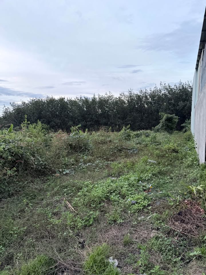 Nhà trung tâm Quang Trung, 2 phòng ngủ, có sân ô tô