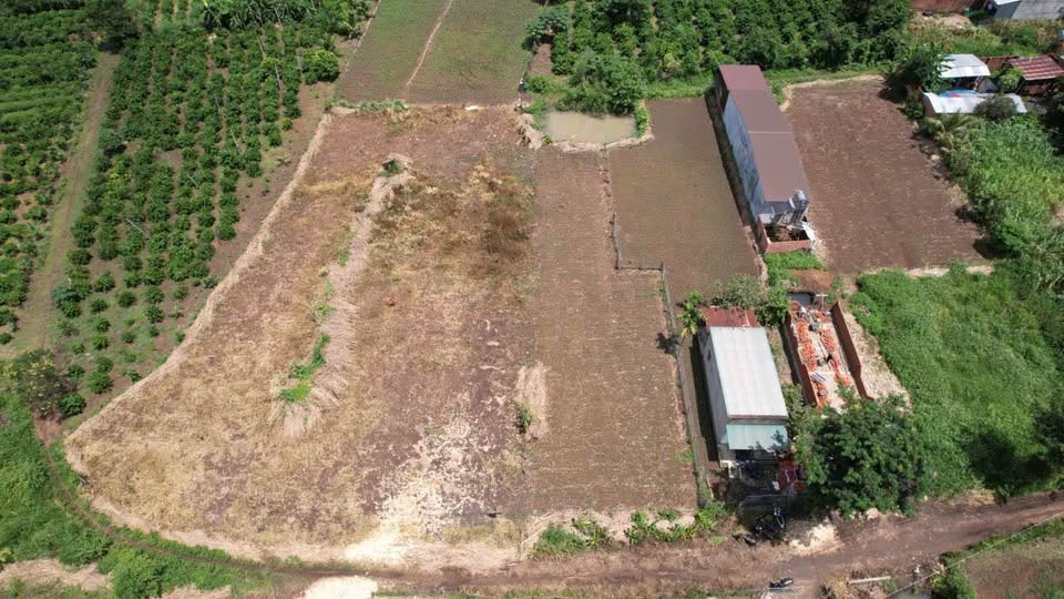 Chào mừng quý khách đến với cơ hội sở hữu một mảnh đất vườn lý tưởng tại thành phố Buôn Ma Thuột