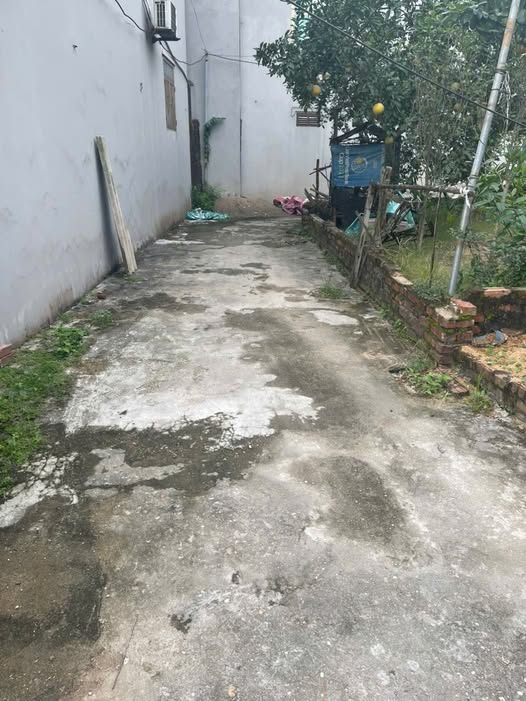 Đất Phú Lâm lô góc 7 tỷ, thổ cư nhỉnh 2 tỷ, sổ hồng sẵn sàng