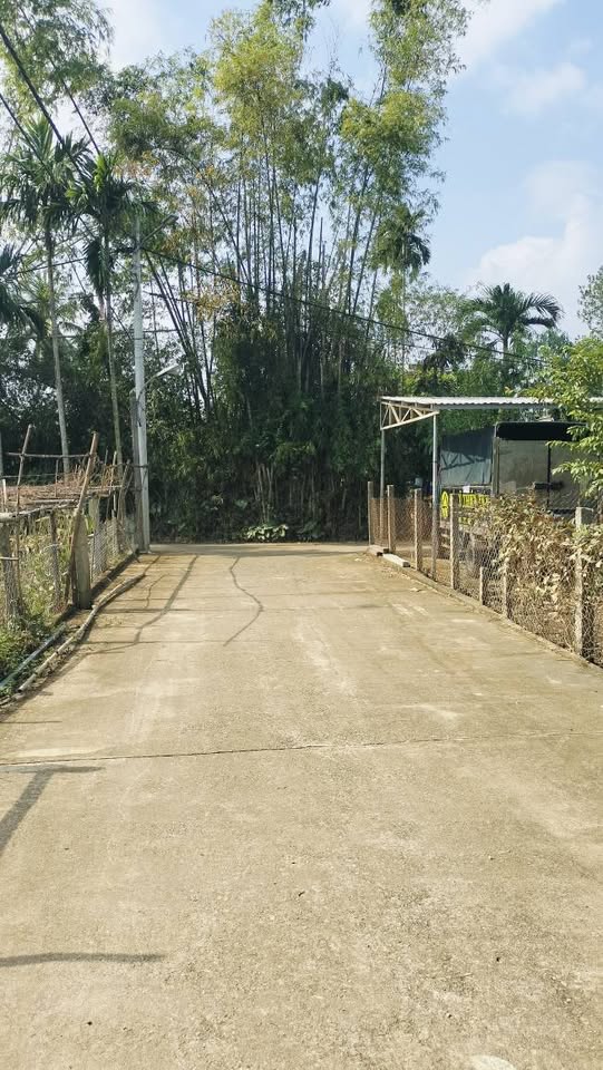 Bán đất 210m2 kiệt ô tô, hướng Đông Nam, gần chợ, trường học tại Hòa Xuân, Đà Nẵng