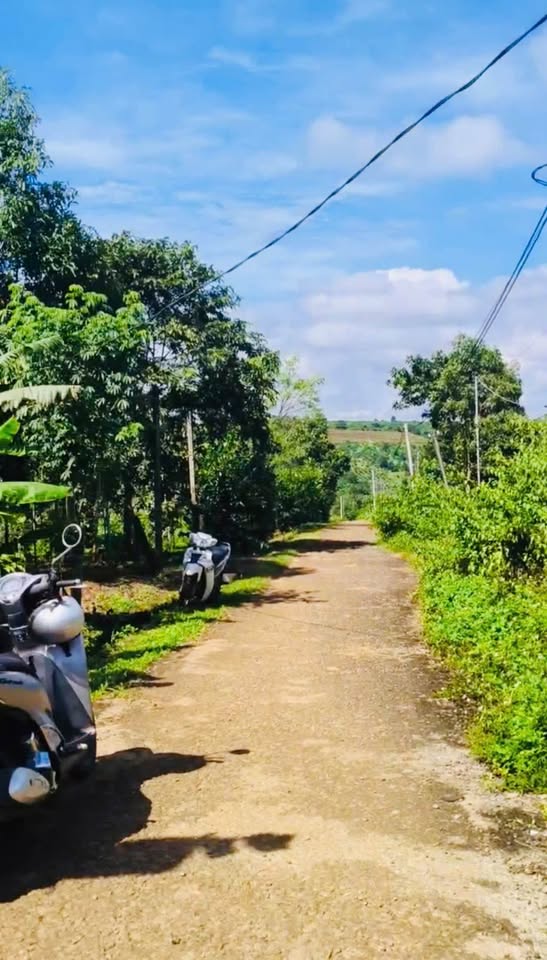 Bán đất thổ cư 5m x 25m đối diện Uỷ ban xã Ia Der, đường ô tô rộng rãi