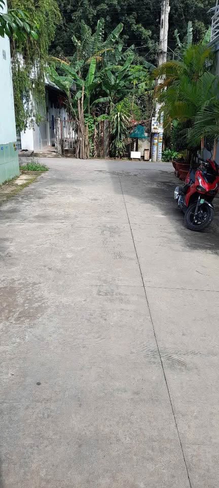 Đất vàng 1,1 tỷ, sổ đỏ full thổ cư, cách chợ lớn 150m