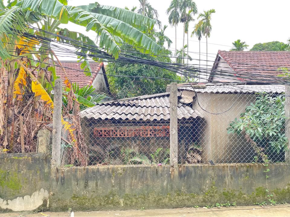 Chính chủ bán gấp đất vàng trung tâm thành phố Huế, chỉ 1,75 tỷ