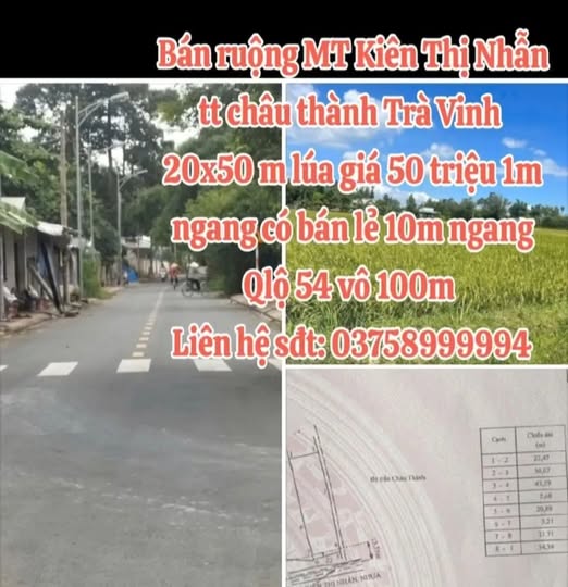 Bán đất ruộng 1000m2 mặt tiền đường Kiên Thị Nhẫn, Châu Thành, Trà Vinh