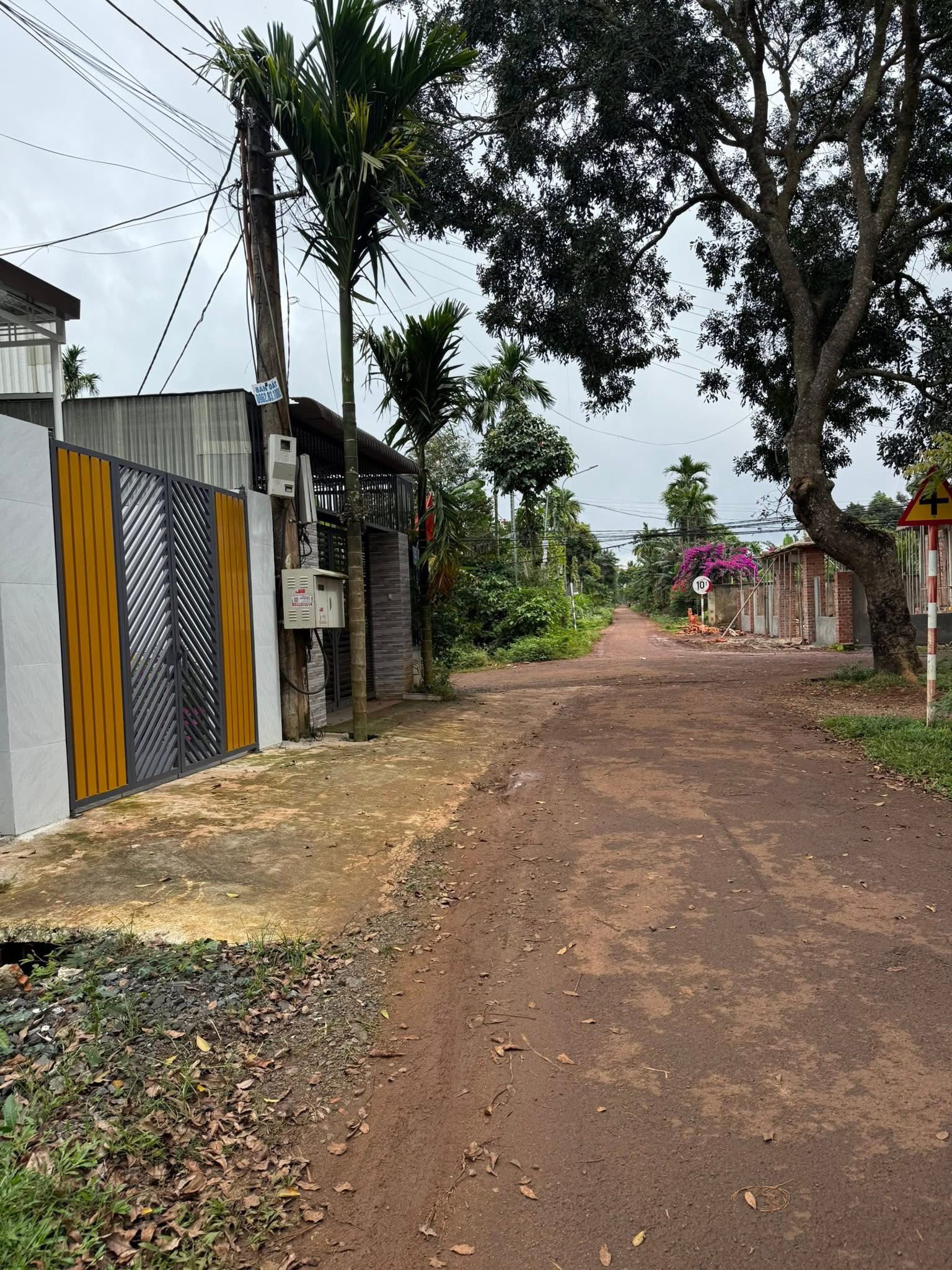 Đất vàng Tân An đầu tư siêu lợi nhuận, chỉ 1,49 tỷ