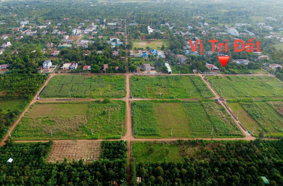 Mảnh đất vàng Enào A, Nguyễn Xuân Nguyên, cơ hội đầu tư sinh lời hoặc xây biệt phủ