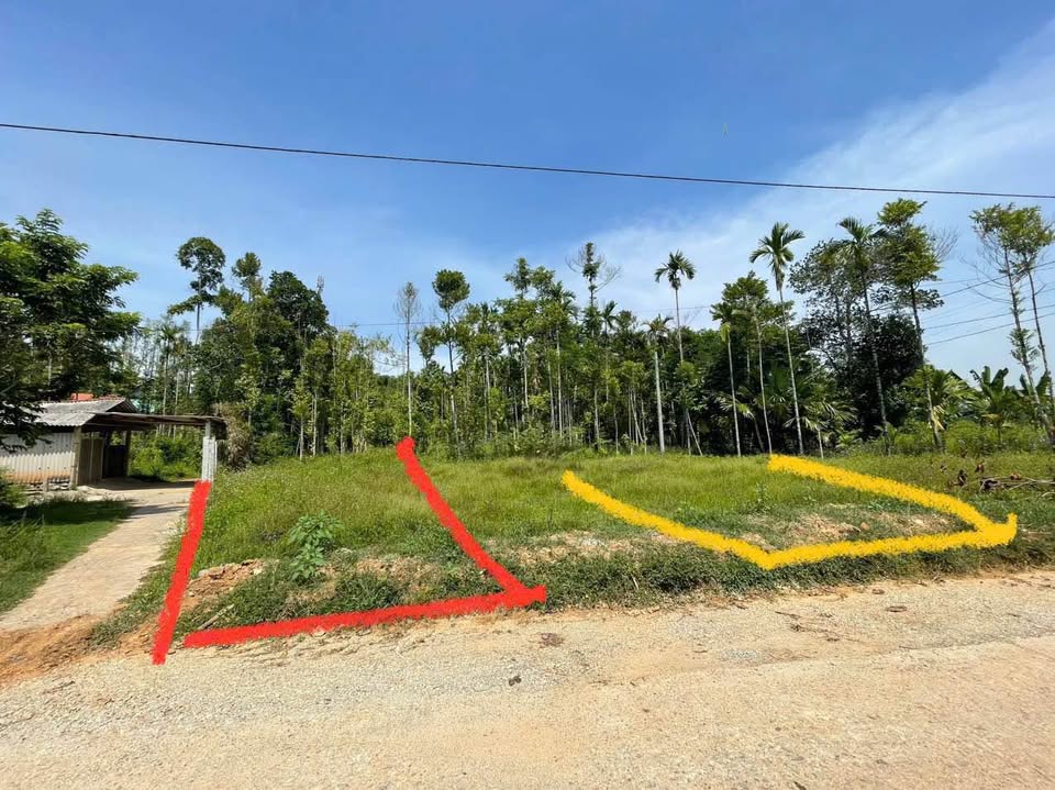 Chào mừng quý vị đến với lô đất "song kiếm hợp bích" tại làng Châu Chữ, Thừa Thiên Huế