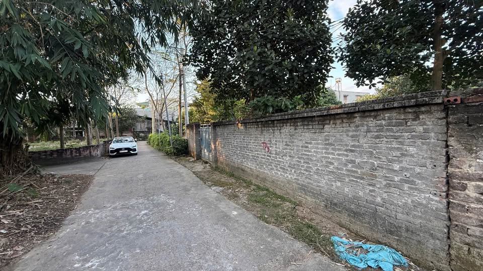 Siêu phẩm đất nền siêu đẹp, giá hời chỉ nhỉnh 10 triệu/m² tại Minh Phương, Việt Trì