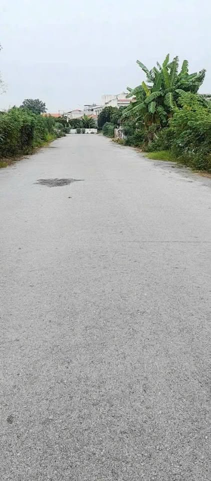 Đất vàng tích sơn - vĩnh phúc: 105m2, mặt tiền 6m, sổ đỏ riêng, giá hời