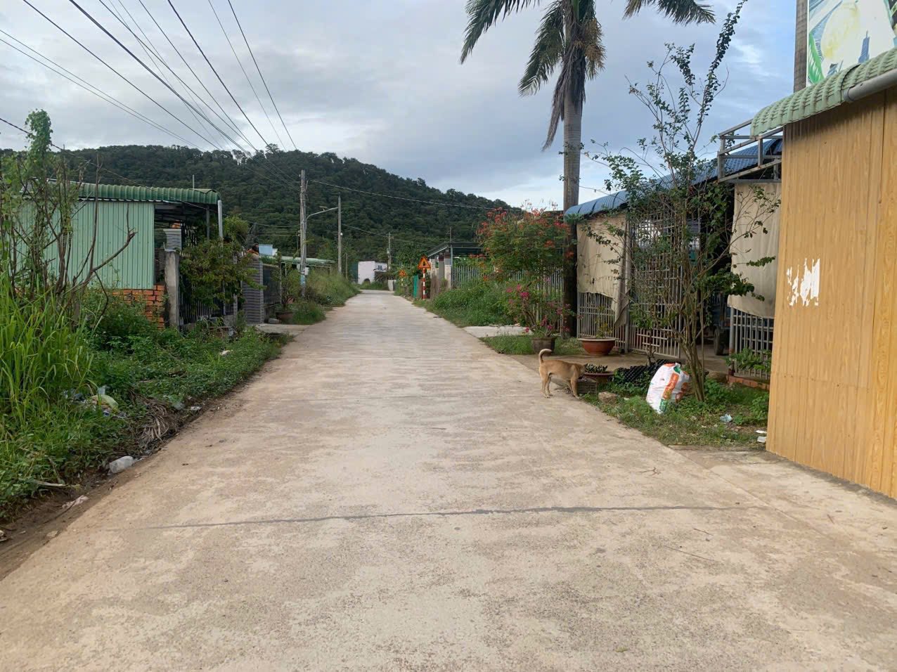 Bán đất tặng nhà kho kinh doanh tại chợ Hàm Cường, Bình Thuận