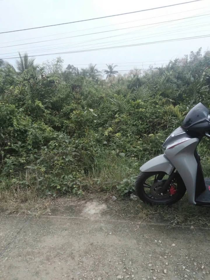 Đất Hiệp Thành, Bạc Liêu, đầu tư sinh lời, an cư lạc nghiệp