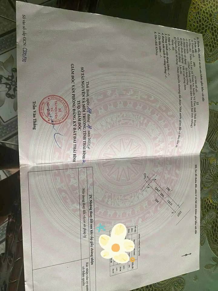 Lô đất vàng tại thôn An Lạc, xã Trung An, huyện Vũ Thư, tỉnh Thái Bình