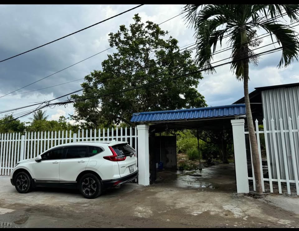 Siêu phẩm đất vườn 3.610m² tại Phú Khương, Bến Tre, cực gần cầu Rạch Miễu 2 đã sẵn sàng chờ chủ nhân mới