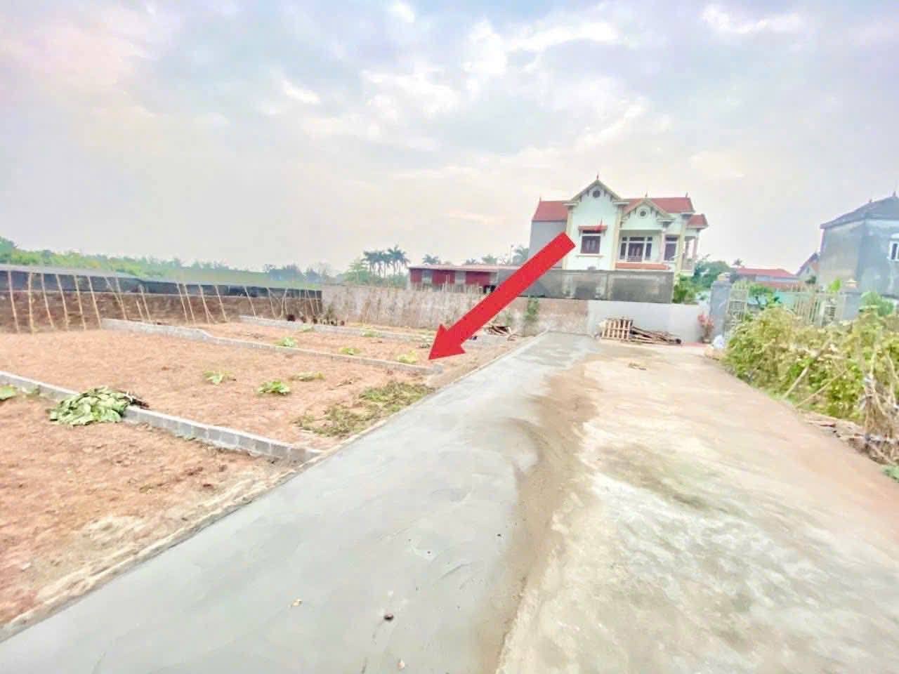 Đất Đan Kim, Văn Giang vị trí đắc địa, đầu tư sinh lời