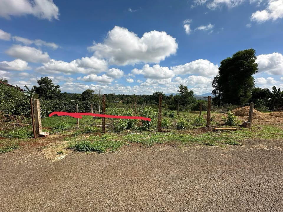 Đất chính chủ siêu đẹp nằm sau đường Tô Hiệu, tỉnh Gia Lai