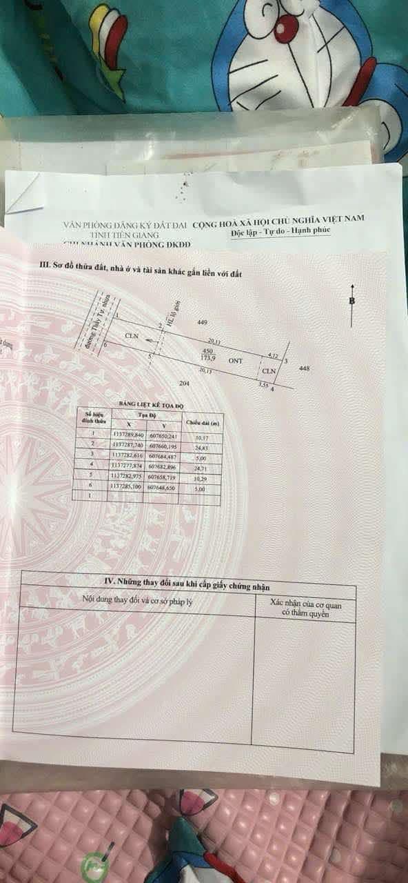 Đất xóm chồi, Gò Công 100m² thổ cư, giá 400 củ khoai