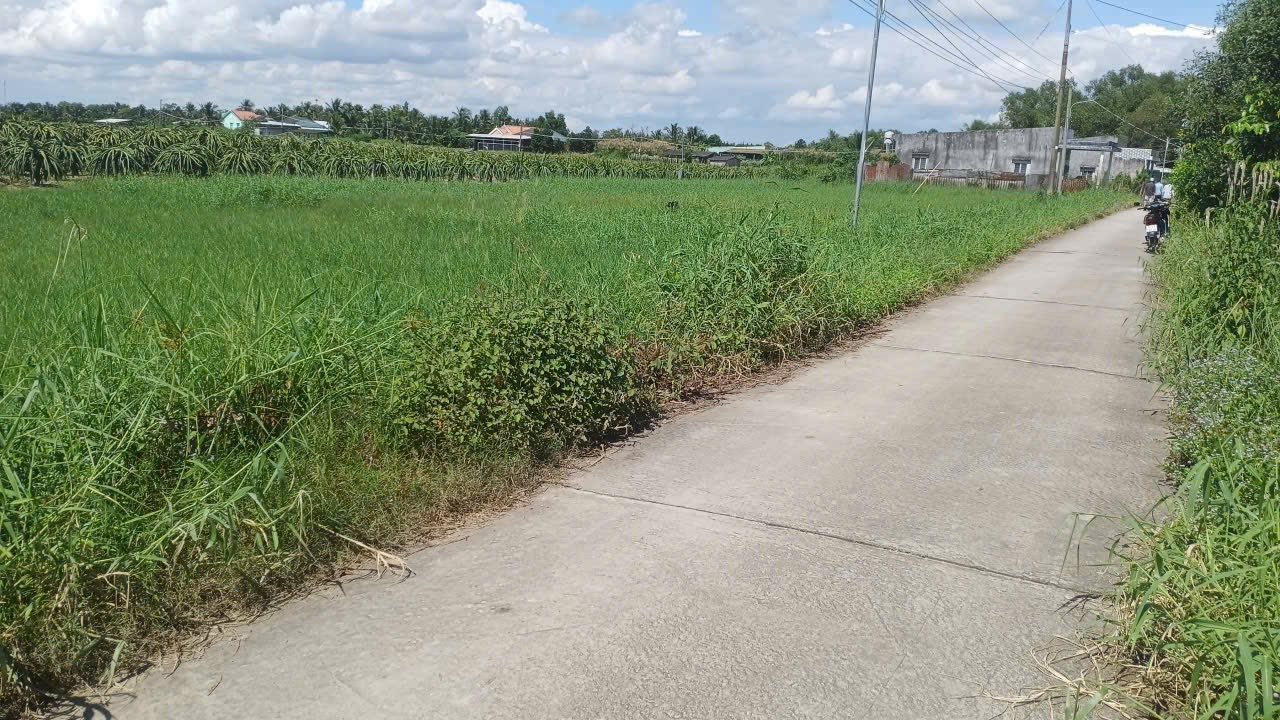 Bán đất lúa 100% thổ cư tại Châu Thành, Long An - view kênh mát mẻ