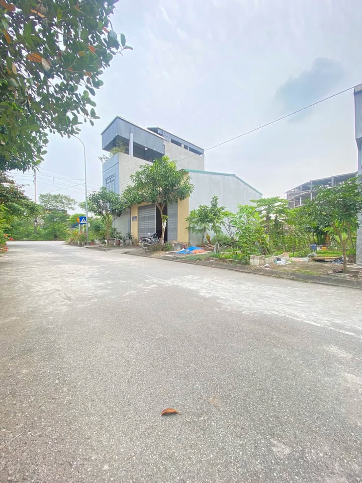 Bán đất tái định cư Trâu Quỳ, Gia Lâm - Kinh doanh sầm uất, đường 12m