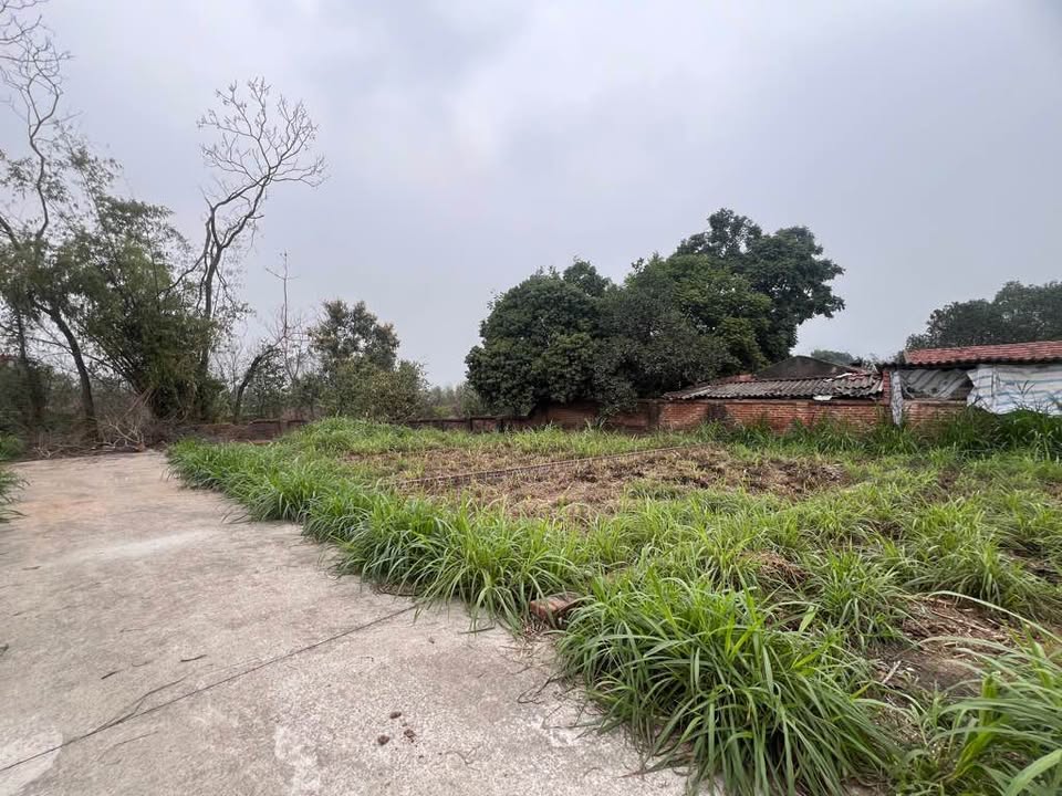 Đất Sóc Sơn - Lô đẹp 66.5m² mặt tiền 5m, đường rộng ô tô tránh, giá hời hơn 1.4 tỷ