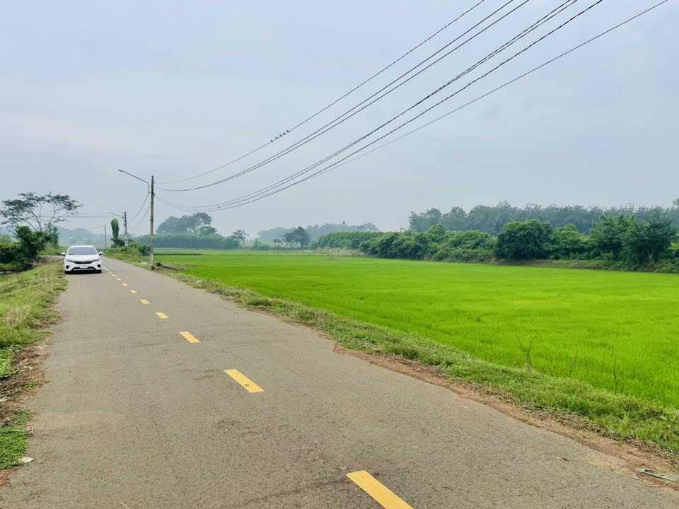 Bán đất vườn 2800m2 Long Phước, Bà Rịa - Không gian xanh mát