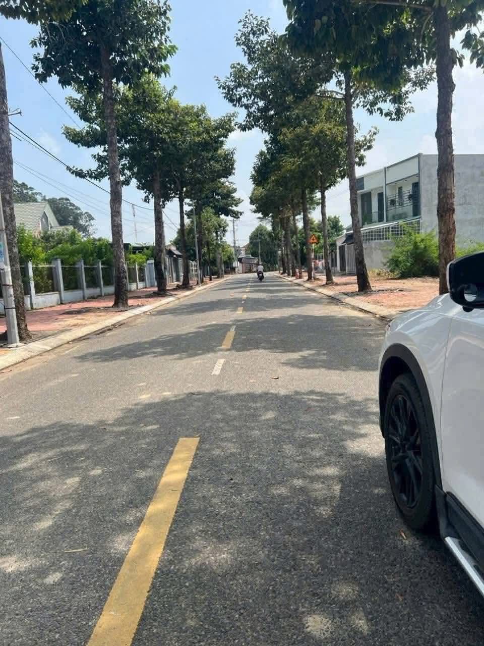 Cơ hội sở hữu lô biệt thự mặt tiền đường nhựa vỉa hè tại khu dân cư Đường Số 8, Long Điền