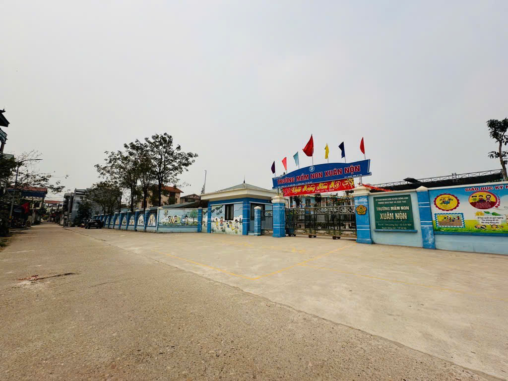 Bán đất Lương Quai, Đông Anh, Hà Nội, diện tích 99m2, mặt tiền 4.3m