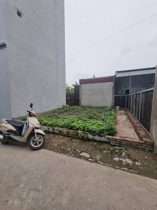 Siêu phẩm đất nền Đào Xá, Thắng Lợi, Thường Tín, Hà Nội