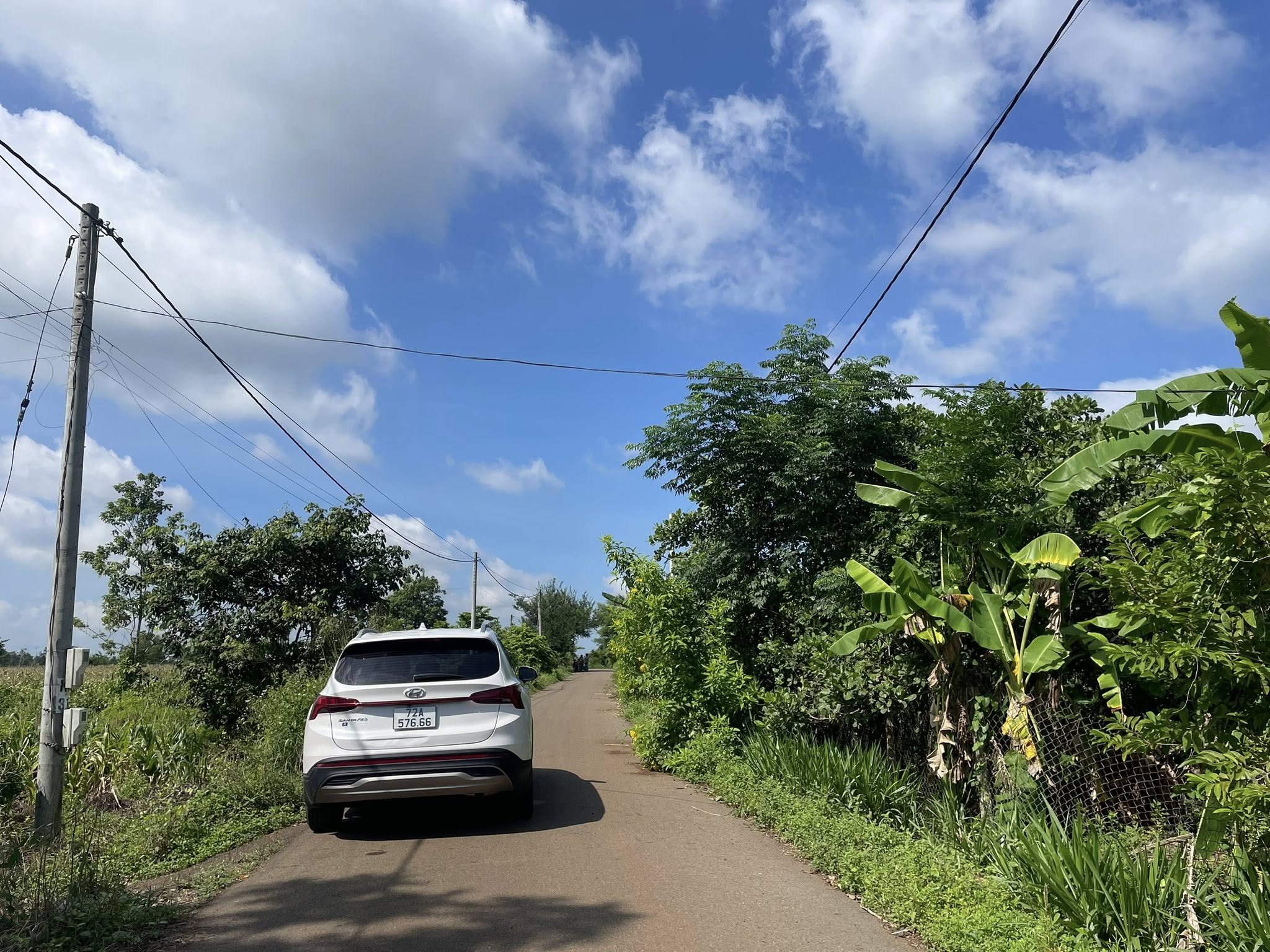 Bán đất vàng 1000m2 mặt tiền đường nhựa, sổ đỏ thổ cư tại Đá Bạc, Châu Đức