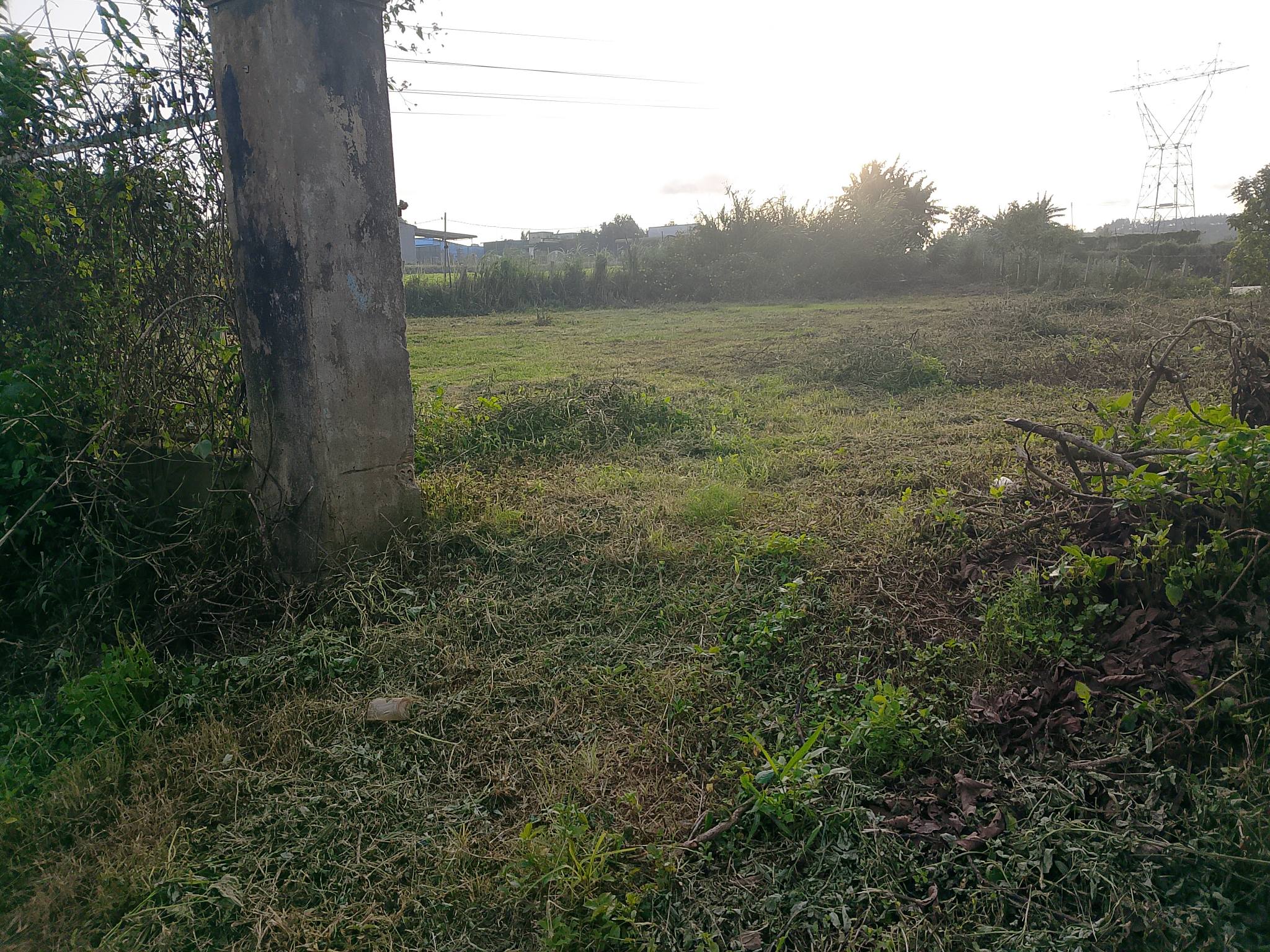 Đất Đà Lạt, mặt tiền 27m, đường bê tông, giá hời chỉ 2,6 tỷ