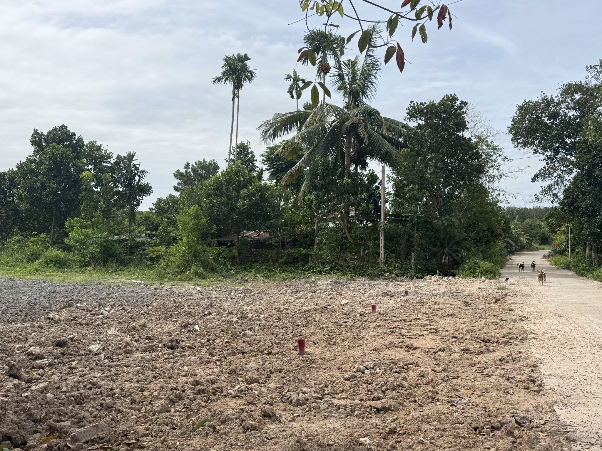 Chào mừng quý khách đến với cơ hội sở hữu những lô đất tuyệt đẹp tại Huyện Chơn Thành, Tỉnh Bình Phước